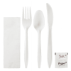 Karat PP Plastic Medium Weight Cutlery Kits with Salt and Pepper - White - 250 ct